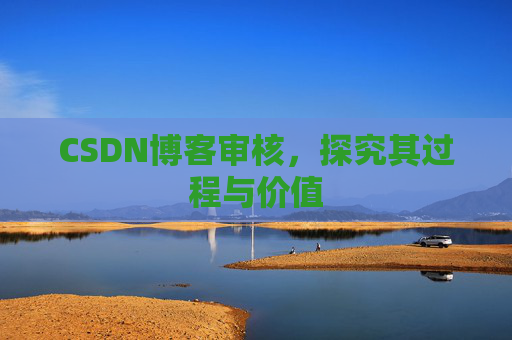 CSDN博客审核,探究其过程与价值